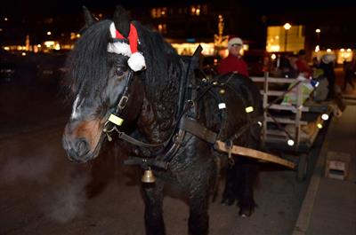 Hest og kjerre i moelv