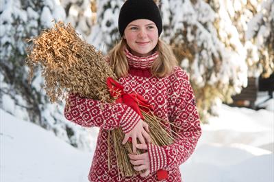 Julemarked på Budor