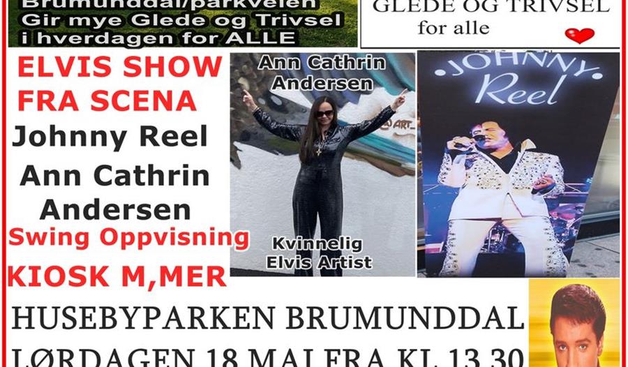 Elvis-show med to artister