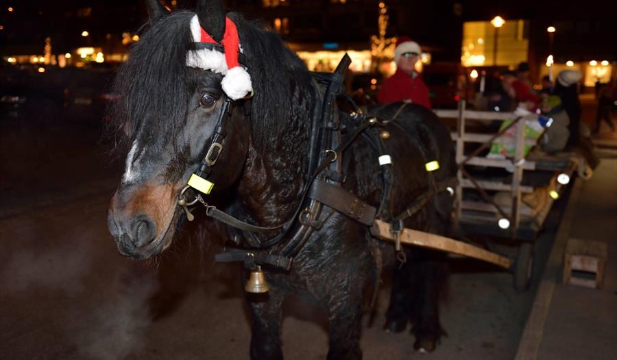 Hest og kjerre i moelv