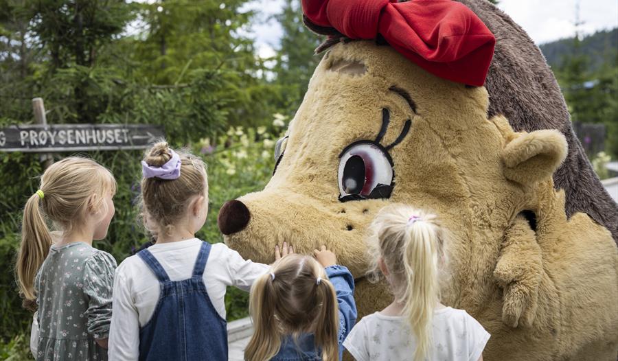 Bolla Pinnsvin dukker opp under festivaldagen