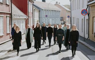 A Ceremony of Carols - Det norske damekor og Sidsel Walstad - Hamar domkirke