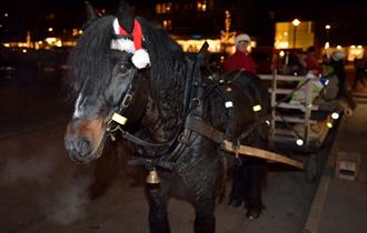 Hest og kjerre i moelv